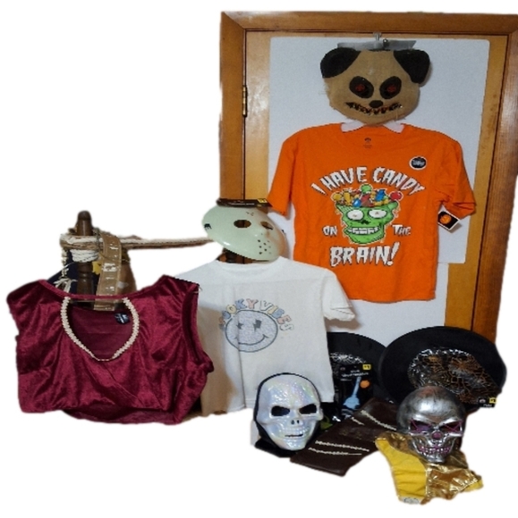 Halloween Other - Halloween Costume Bundle NEW and USED Pieces